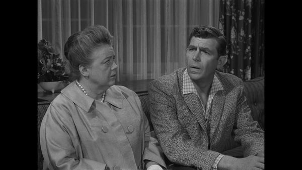 The Andy Griffith Show - Barney Fife, Realtor