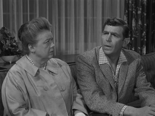 The Andy Griffith Show - Barney Fife, Realtor
