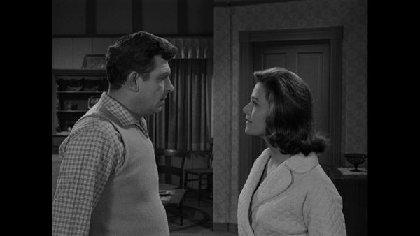 The Andy Griffith Show - Guest in the House