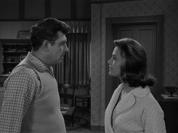 The Andy Griffith Show - Guest in the House