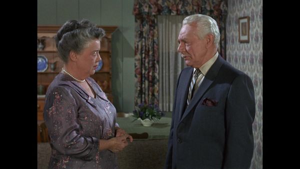 The Andy Griffith Show - Aunt Bee, The Swinger