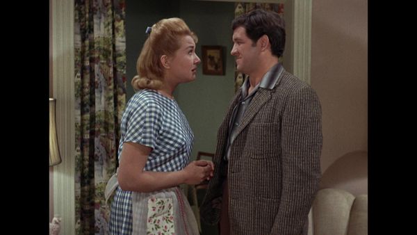 The Andy Griffith Show - Goober's Replacement