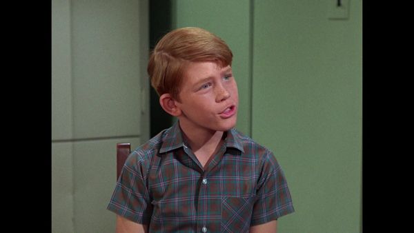 The Andy Griffith Show - A Baby in the House