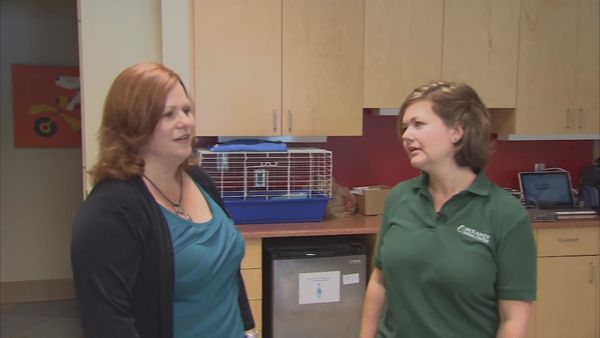 Designing Spaces - Pet Spaces of Hope