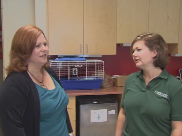 Designing Spaces - Pet Spaces of Hope