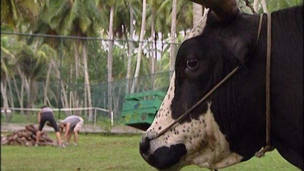 The Amazing Race - Anonymous? (Seychelles)