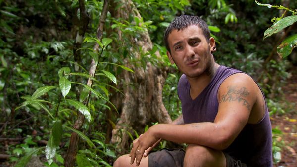 Survivor - Persona Non Grata