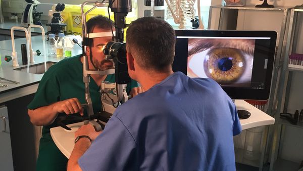 Operation Ouch! - Tremendas lágrimas