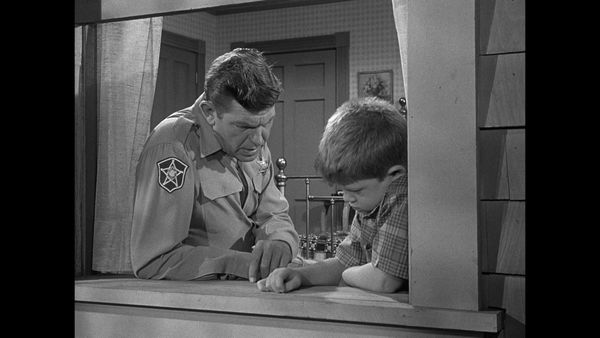 The Andy Griffith Show - Mr. McBeevee