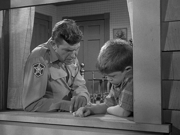 The Andy Griffith Show - Mr. McBeevee