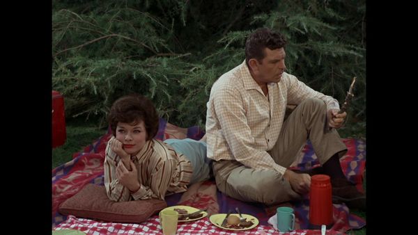 The Andy Griffith Show - A Warning From Warren