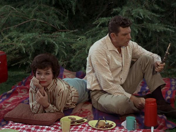 The Andy Griffith Show - A Warning From Warren