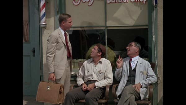 The Andy Griffith Show - Aunt Bee on TV