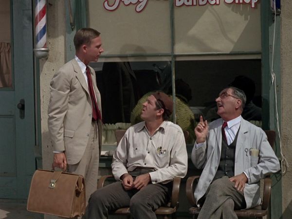 The Andy Griffith Show - Aunt Bee on TV