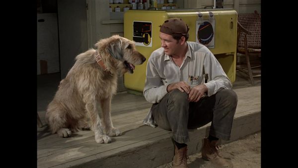 The Andy Griffith Show - The Cannon