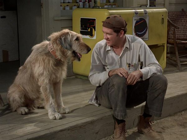 The Andy Griffith Show - The Cannon