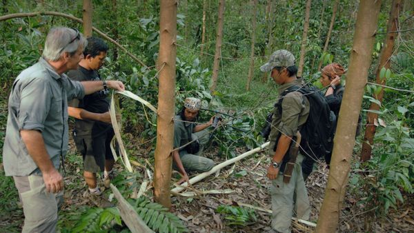 1 000 jours pour la planète - Les éléphants de Sumatra
