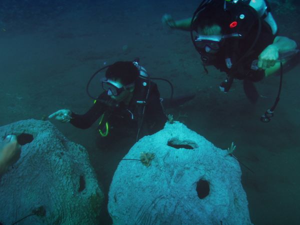 1 000 jours pour la planète - Poisson au cyanure et autres petites recettes nocives