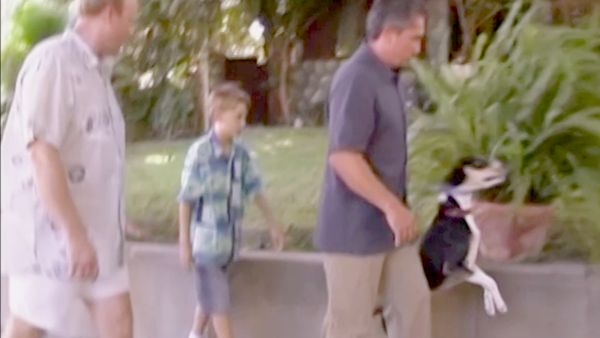 El encantador de perros - Stewart & Buddy