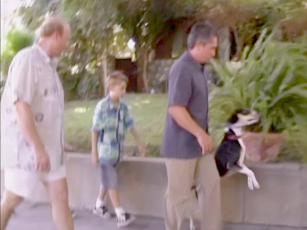 El encantador de perros - Stewart & Buddy