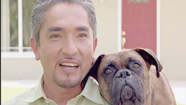 El encantador de perros - Coach & Sueki