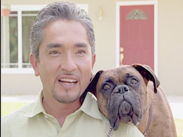 El encantador de perros - Coach & Sueki