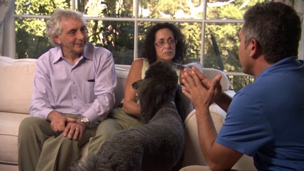 El encantador de perros - Buddy, Teddy, & Matilda