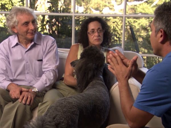 El encantador de perros - Buddy, Teddy, & Matilda