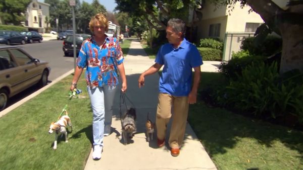 El encantador de perros - Bikini, Fella, Winston & Oliver