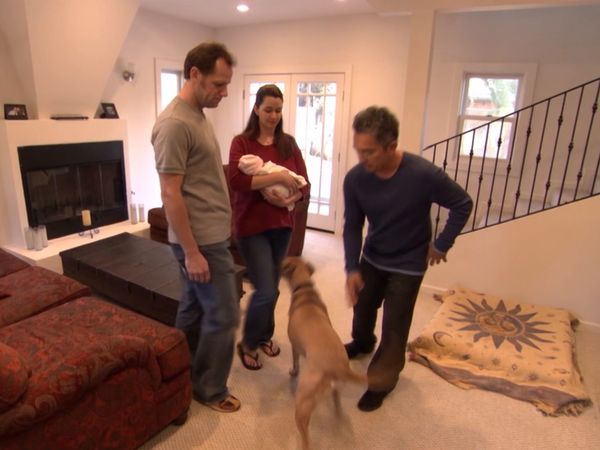 El encantador de perros - Pasha, Cosmo, & Contessa