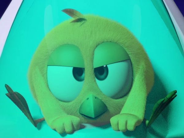Onde Está Chicky? - Episode 3