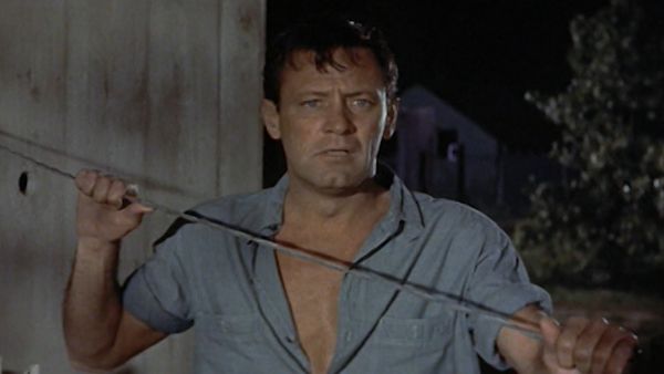 Vite da Star - William Holden