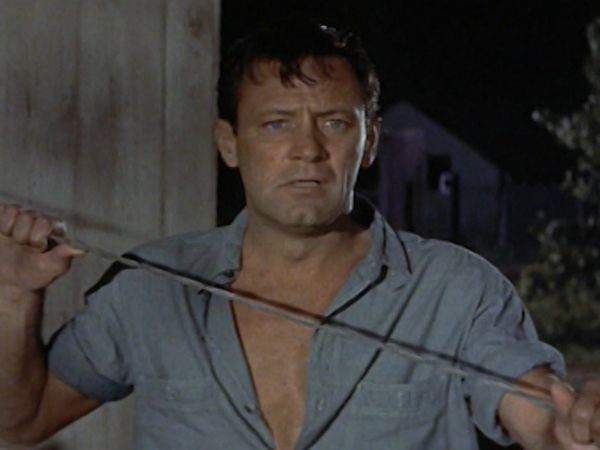 Vite da Star - William Holden
