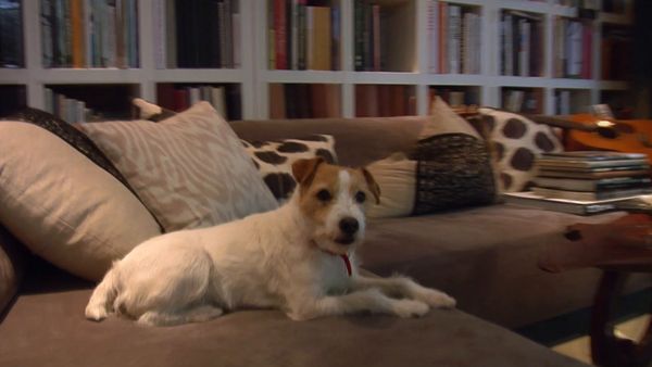 El encantador de perros - Idioma de los perros