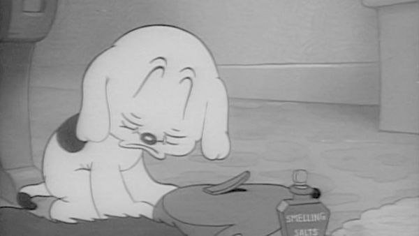 Betty Boop - Pudgy Picks a Fight / Pudgy Takes a Bow-Wow / The Candid Candidate