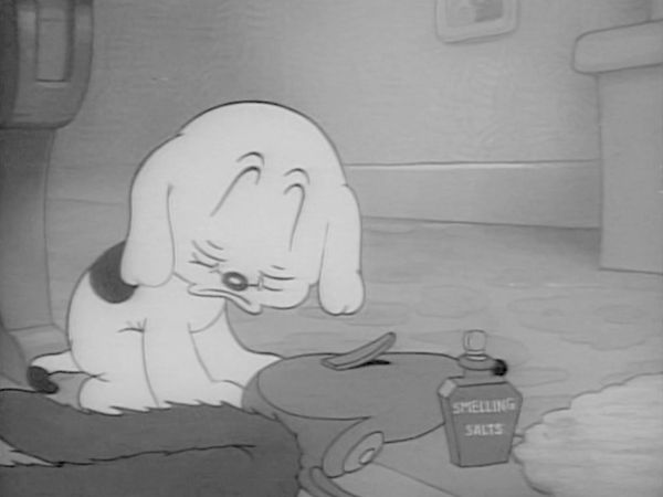 Betty Boop - Pudgy Picks a Fight / Pudgy Takes a Bow-Wow / The Candid Candidate