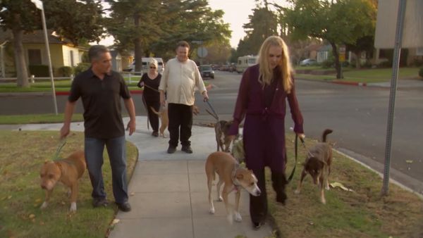 El encantador de perros - Various dogs and Chuy, Jack, & Carmine
