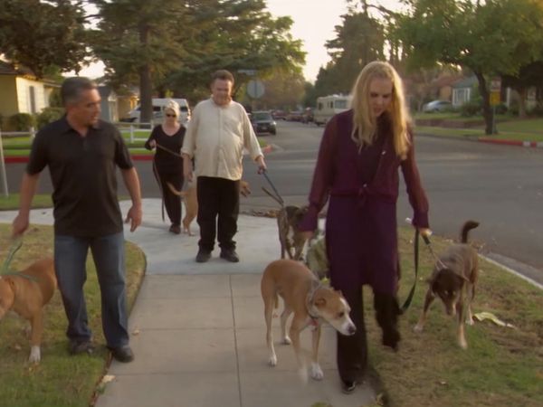 El encantador de perros - Various dogs and Chuy, Jack, & Carmine