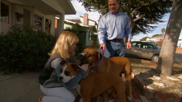 El encantador de perros - Cotton, Ricky, y Lila & Duke