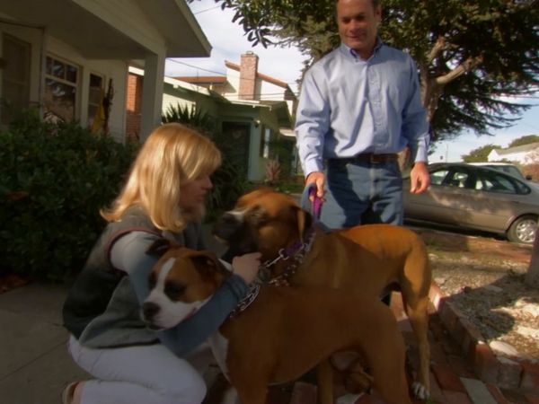 El encantador de perros - Cotton, Ricky, y Lila & Duke