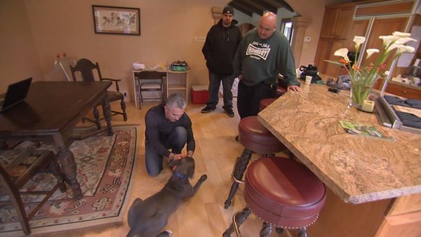 El encantador de perros - Homeboys and Hounds