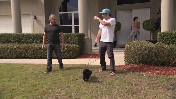 El encantador de perros - Daytona Dogs