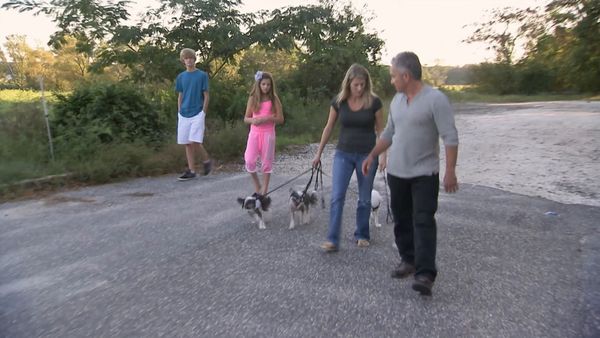 El encantador de perros - Jersey Shore Dogs
