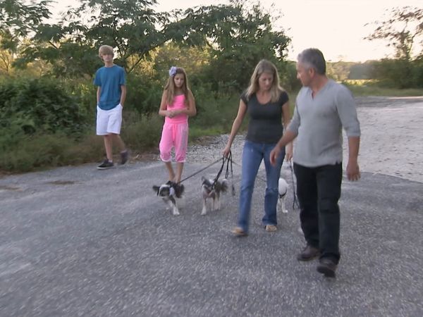 El encantador de perros - Jersey Shore Dogs