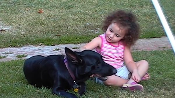El encantador de perros - Cesar’s Toughest Cases