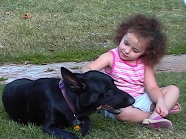El encantador de perros - Cesar’s Toughest Cases