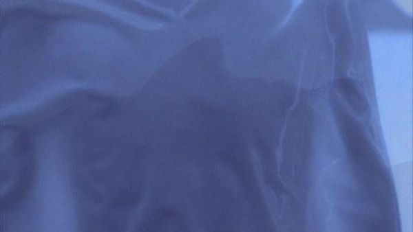 PSI Factor, chroniques du paranormal - Le Baiser