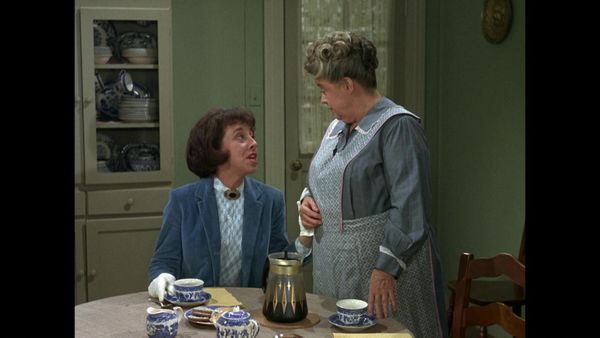 The Andy Griffith Show - Aunt Bee's Cousin