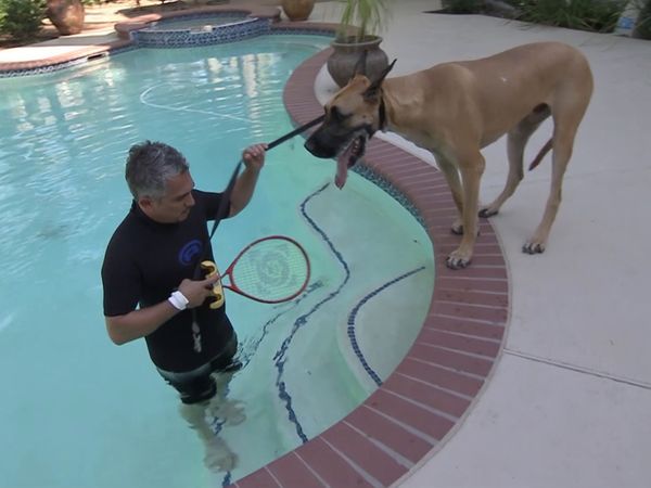 El encantador de perros - Maxwell, Brooklyn, y Tipper