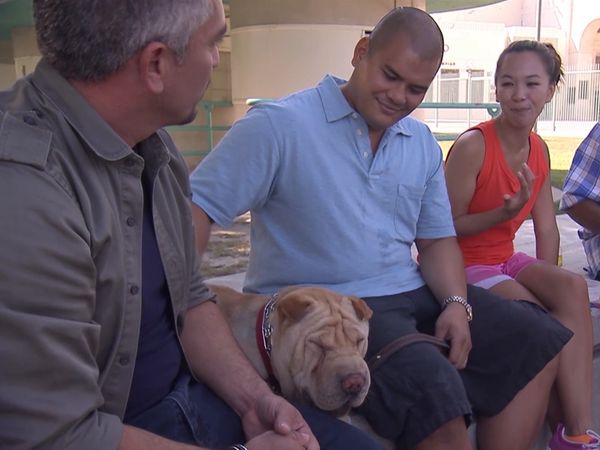 El encantador de perros - Cobar y Chase